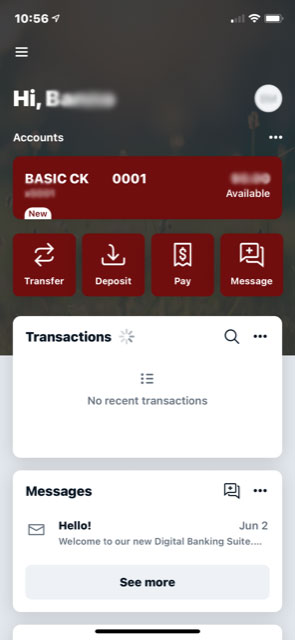 Screenshot of example mobile banking dashboard.