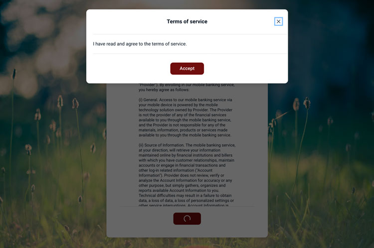 Screenshot of online banking User Agreement acceptance verification.