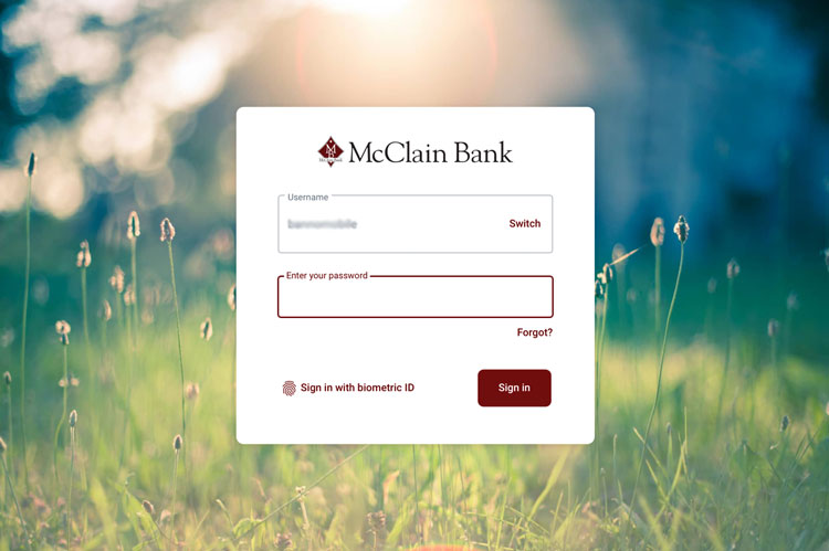 Screenshot of online banking sign-in requesting password.